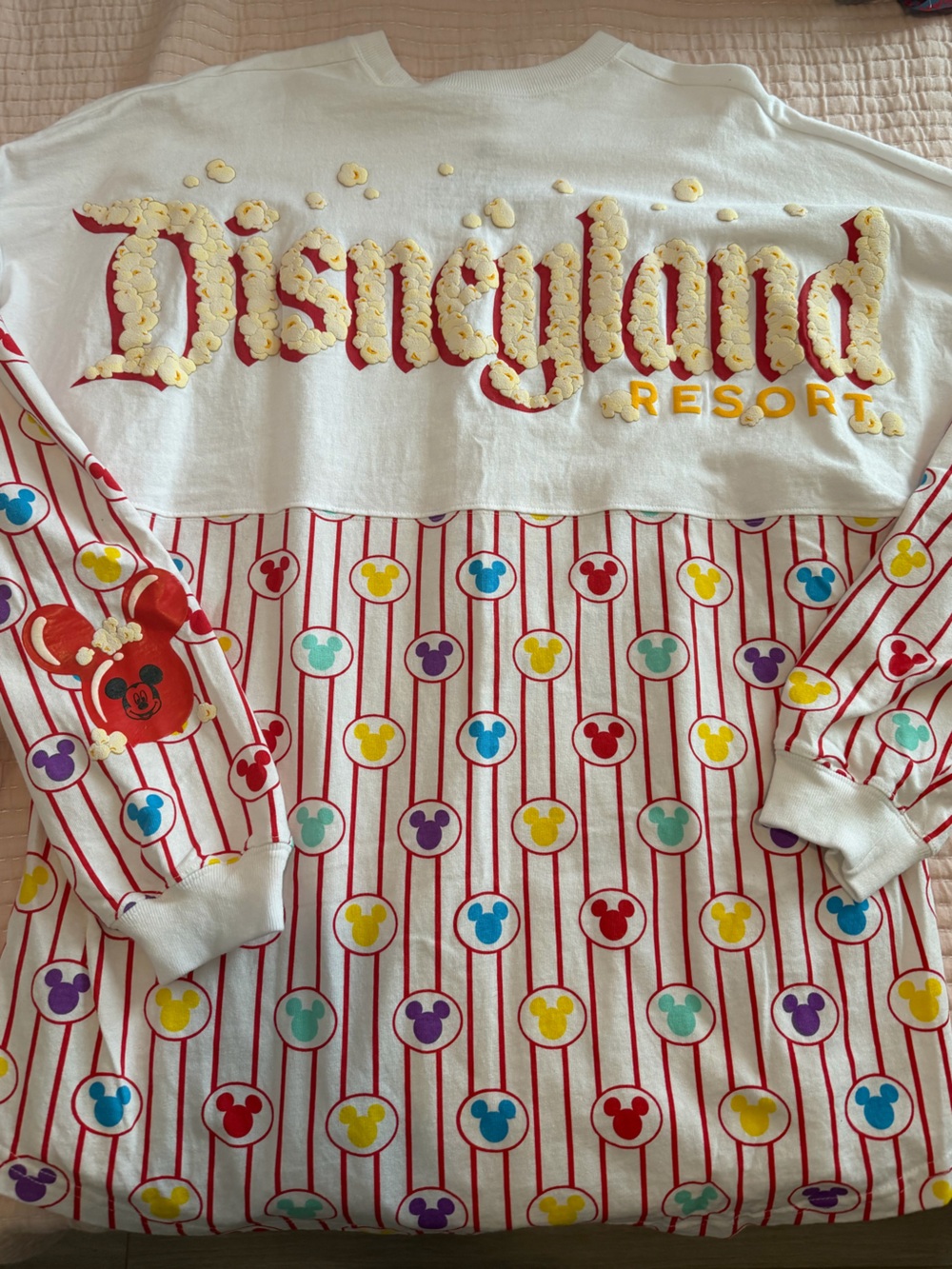 Disneyland Popcorn Spirit Jersey Size XL - Picture 2 of 3